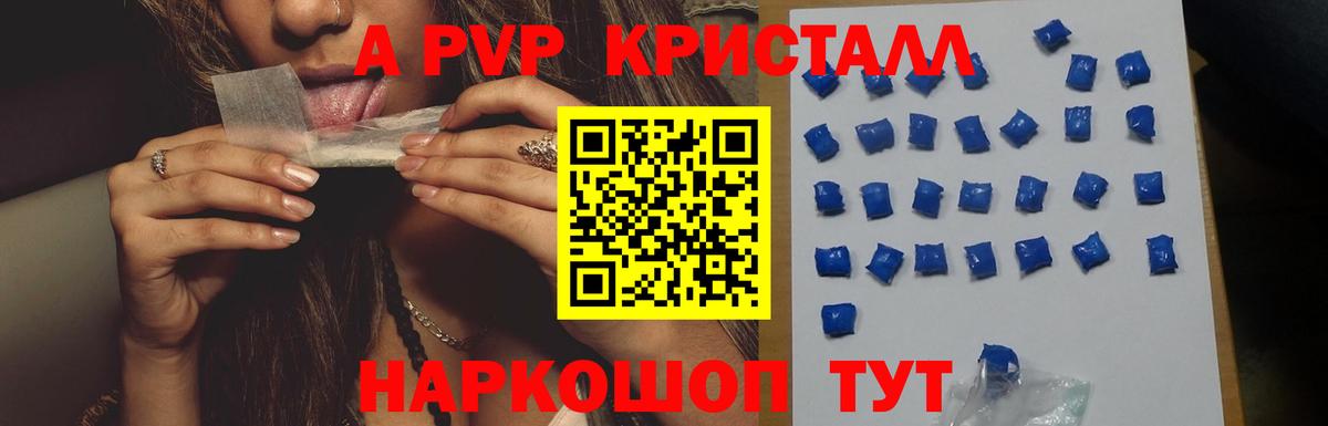 Альфа ПВП СК Сыктывкар