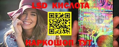 a pvp Новодвинск